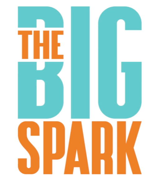 The Big Spark 15 South-East Asian Startup Finalists